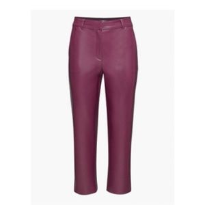 Aritzia Command Faux Leather Pants